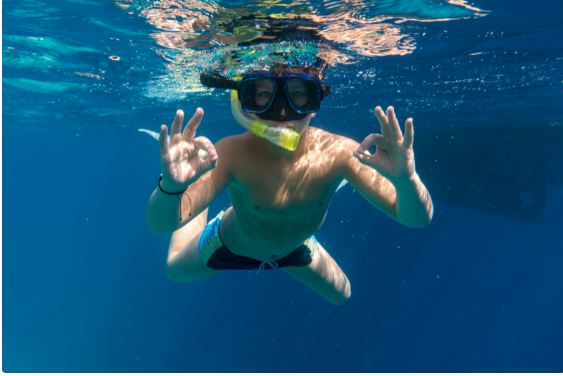 Diving in the Red Sea