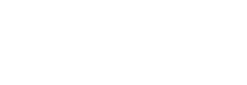 Egyptivo Tours Logo White