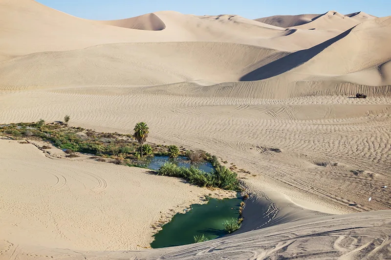 7-Day Egypt Desert Adventure Tour