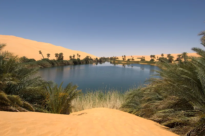 7-Day Egypt Desert Adventure Tour