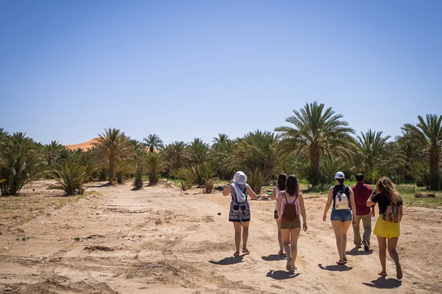 tourists-walking-in-the-oasis