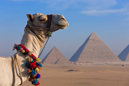 6-Day Best of Egypt Tour