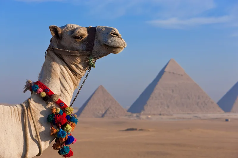 6-Day Best of Egypt Tour