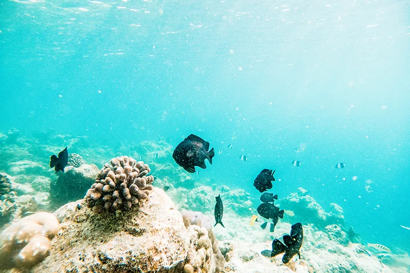 Hurghada – Single Day Tour