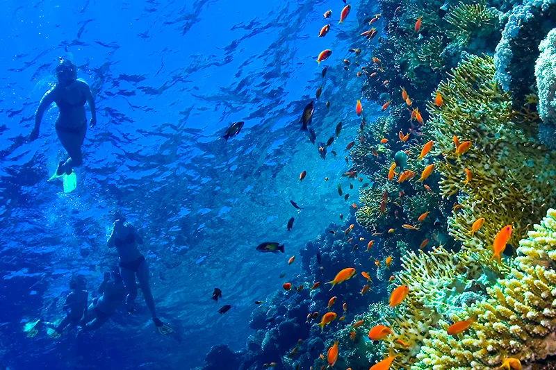 11-Day See & Sea Tour